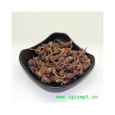 连翘 青翘生晒统货 产地 陕西省秦岭山区