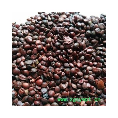 酸枣仁 炒酸枣仁  正品国产货 统 产地 山东省枣庄市薛城区