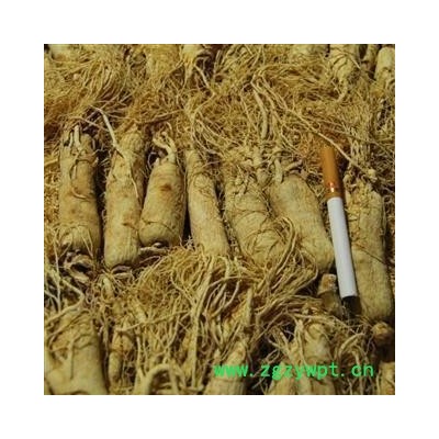 人参 无硫原皮参 生晒参32支左右 正品好货 产地 吉林省