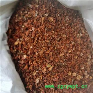 栀子 栀子打碎粒 产地 江西省图3