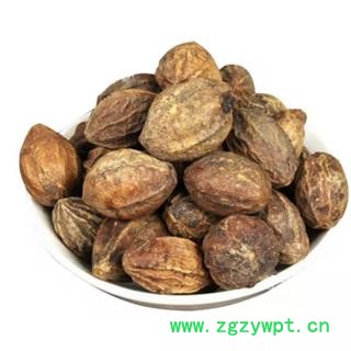 诃子 诃子统个 产地 广西壮族自治区图2