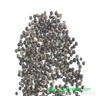 【振兴中药】中药材批发供应【蔓荆子】图3