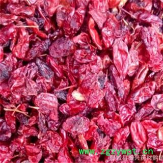 【振兴药材】中药材供应山萸肉图3