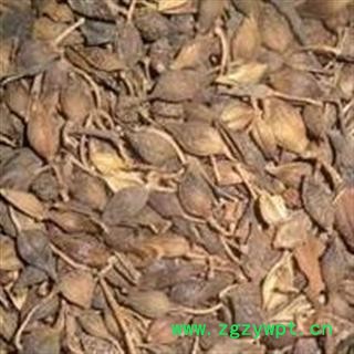 连翘 青翘 统货 产地 山西省晋中市昔阳县 产地直供 支持线上保障交易图3