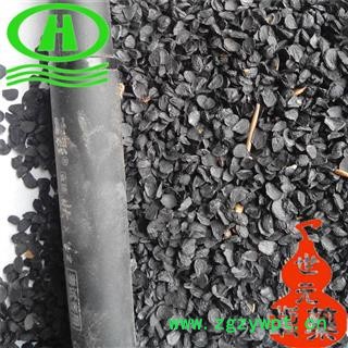 世元药业 韭菜子 正品 韭子 韭菜籽 韭菜仁 不掺假 新货图2