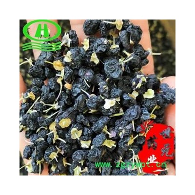 世元药业 黑枸杞 苏枸杞 正品无污染 野