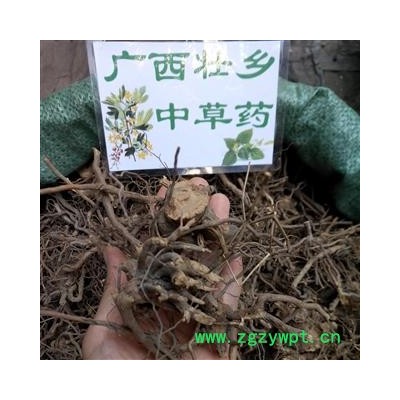 广西壮乡中草药 野生 全根 三月泡 茅莓根 红梅消 三月泡根 蛇泡筋 产地 广西柳州
