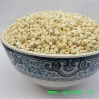 平贝母 精品平贝母小珍珠薏米仁大小 产地 辽宁省图2