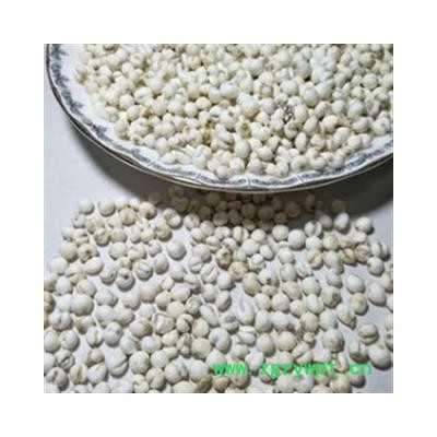 贝母 精品手选0.55平贝母。和川贝差不多 产地 吉林省