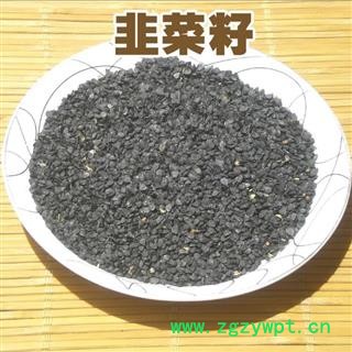 韭菜籽 1000克 韭菜子图2