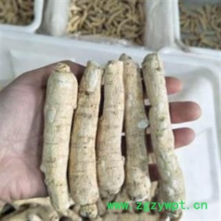西洋参 西洋参 产地直销新货西洋参个16克左右，一手货源货真价实  产地 吉林省图2