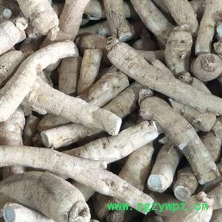 西洋参 西洋参 产地直销新货西洋参个16克左右，一手货源货真价实  产地 吉林省图3