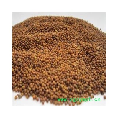 菟丝子 菟丝子水洗选货 产地 宁夏回族自治区