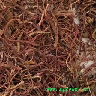 紫菀 紫菀 统 产地 安徽省 聚源药业 专注品质 产地 安徽省图2