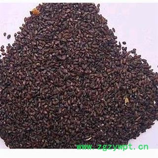 车前子 车前子净货 产地 四川省 风选杂质图3