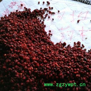 辽五味统产地辽宁省辽阳市辽阳县图3