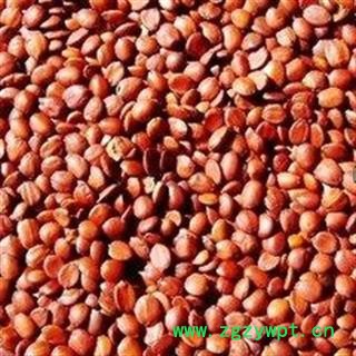 进口酸枣仁 优质酸枣仁 中药材批发 质量保证【另有炒酸枣仁】图2