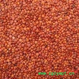 进口酸枣仁 优质酸枣仁 中药材批发 质量保证【另有炒酸枣仁】图3