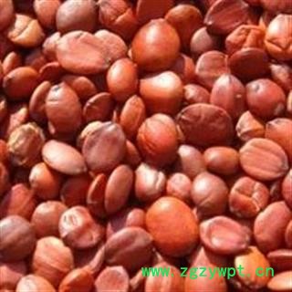 进口酸枣仁  优质酸枣仁 中药材批发 质量保证【另有炒酸枣仁】