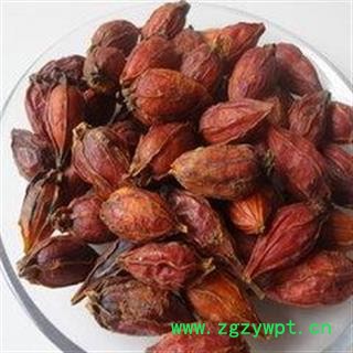 栀子 选 产地 四川省成都市市辖区图2