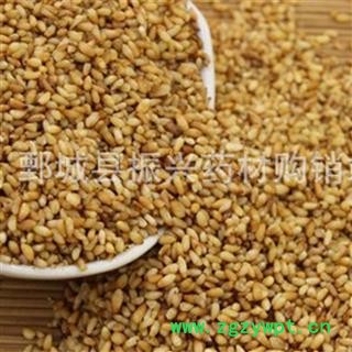 柏子仁 统货 产地 山东省 振兴中药 产地直销 重在品质图3