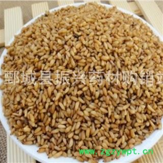 柏子仁 统货 产地 山东省 振兴中药 产地直销 重在品质图2