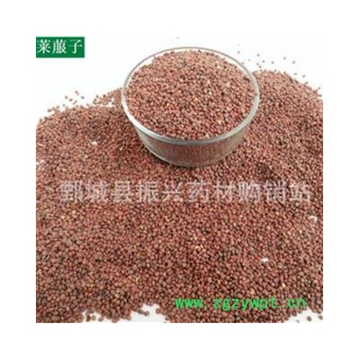 【振兴药材】中药材批发供应【生莱菔子】