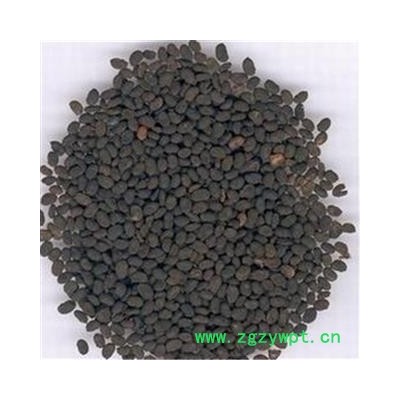 【振兴中药】中药材批发供应【补骨脂】