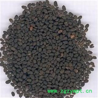 【振兴中药】中药材批发供应【补骨脂】图4