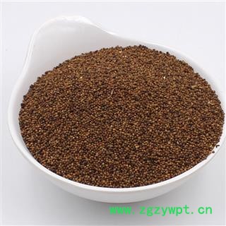 菟丝子 菟丝子水洗选货 产地 内蒙古自治区图2