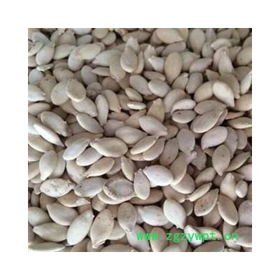 冬瓜子 统货   单边 产地 安徽省亳州市谯城区 产地直供 支持线上保障交易 安徽省冰源堂药业经营品3000余种中药材【冷背中药材】