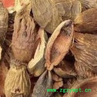 大腹皮 软壳统货  产地 广西 过药检  【做良心药 道地药材 冷背药材 品种齐全】图2