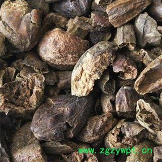 诃子 诃子肉 统货 产地 云南省图2