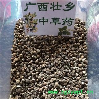 广西壮乡中草药 印度进口 专业批发 辣木籽 颗粒饱满 果实圆润 去白衣 好选货 产地 印度图2