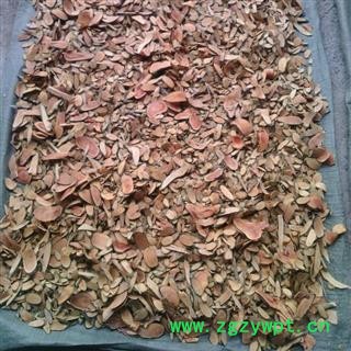 广西壮乡中草药 野生 产地大货直供 王不留行藤 产地 广西柳州图2