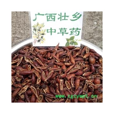 广西壮乡中草药 野生 含量高 金樱子肉 金樱肉 产地 广西柳州