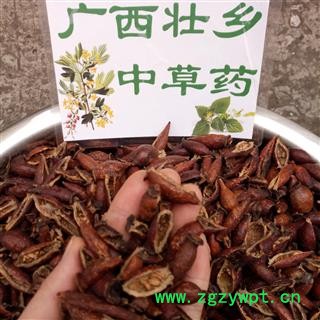 广西壮乡中草药 野生 含量高 金樱子肉 金樱肉 产地 广西柳州图4