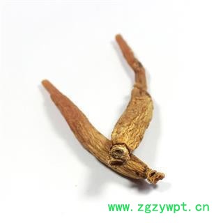 红参 小个 俗称小抄货 干度非常好 红参低糖80支以上 假一赔十 产地 吉林省图2