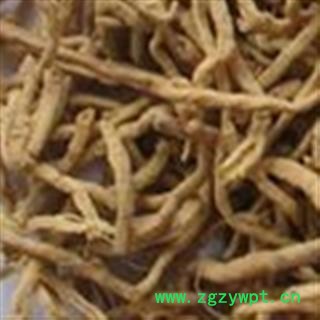 远志 远志统段 产地 山西省图2