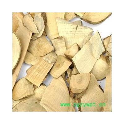 毛冬青 毛冬青统片 产地 云南省