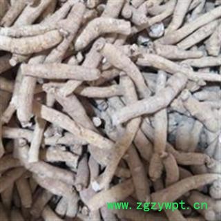 西洋参 西洋参 产地直销新货西洋参个12克左右，一手货源货真价实 产地 吉林省图2