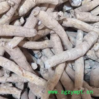 西洋参 西洋参 产地直销新货西洋参个12克左右，一手货源货真价实 产地 吉林省图3