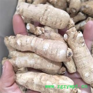 西洋参 西洋参 新货西洋参大短支个22克左右，一手货源货真价 产地 吉林省图3