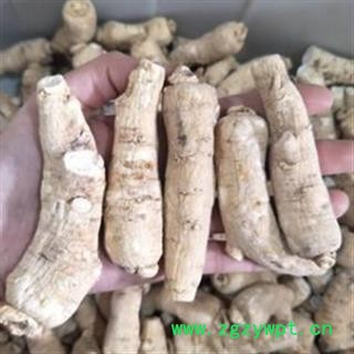 西洋参 西洋参 新货西洋参大短支个22克左右，一手货源货真价 产地 吉林省图2