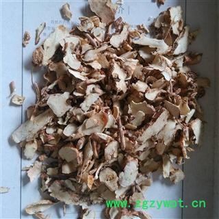 知母 光知母圆片 药材地道 正品好货 产地 河北省图2