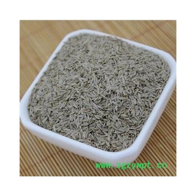 生菜籽 白生菜籽 1000克