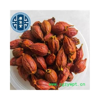 【康生堂】栀子今年新货 全干 新货 批发各种中药材诚信经营产地 福建省