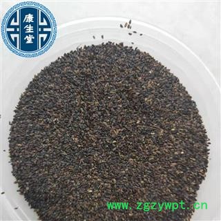 【康生堂】车前子 1000克 实物拍摄 选  江西省 批发各种中药材 一手货源图4