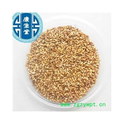 柏子仁 精选货柏子仁 批发各种中药材 规格齐全 质优价廉 产地 山东省