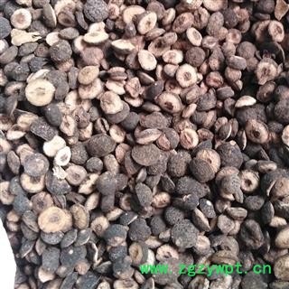 正品枳实统产地江西省鹰潭市贵溪市图3